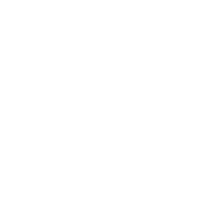 white monin logo