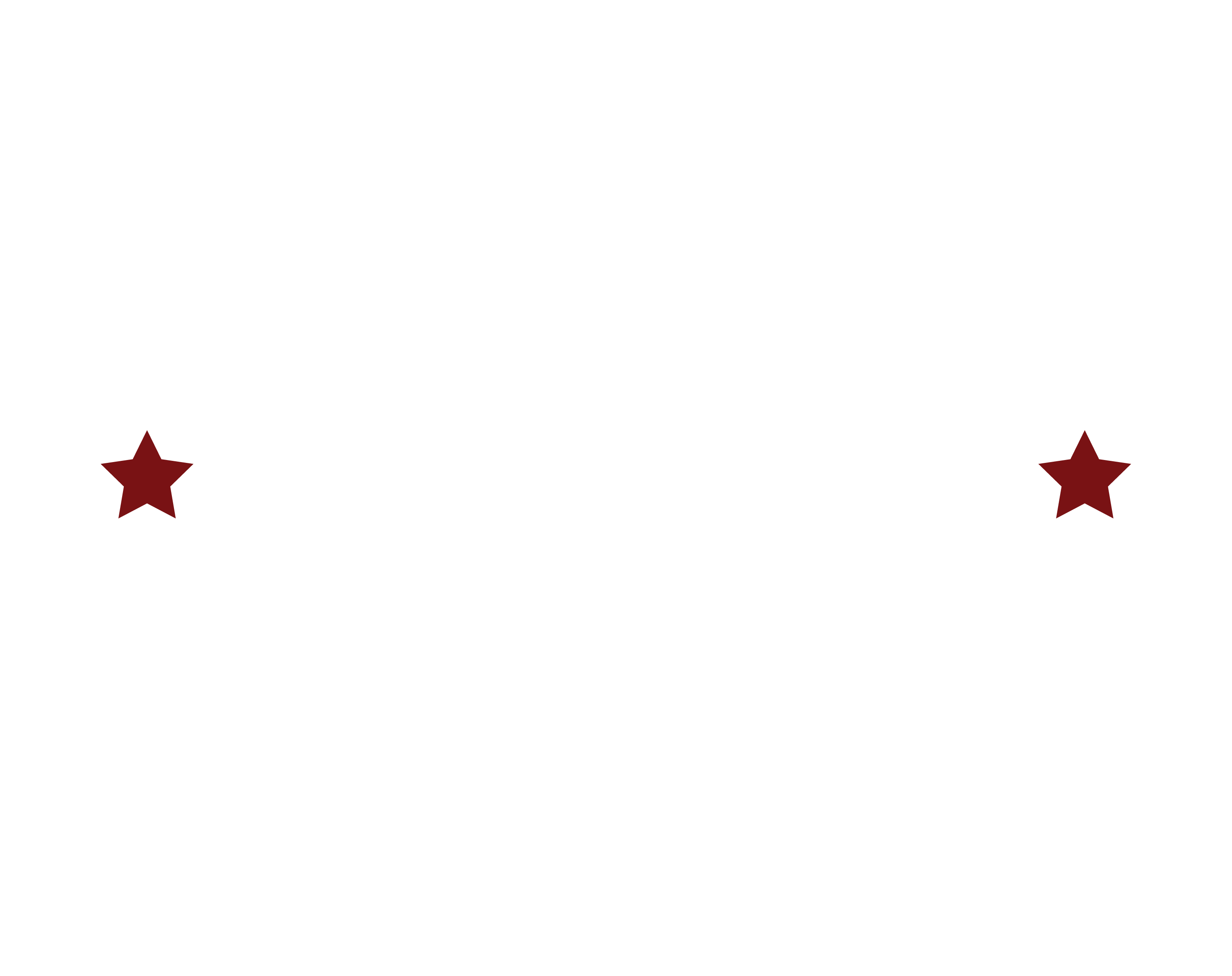 Radical Panda Logo
